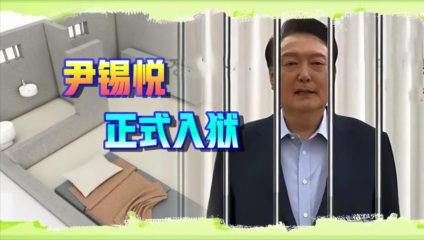 2025澳彩开奖记录查询表格,张本智和挑球像抢鸡蛋,重点解答解释落实_至尊版V6.84