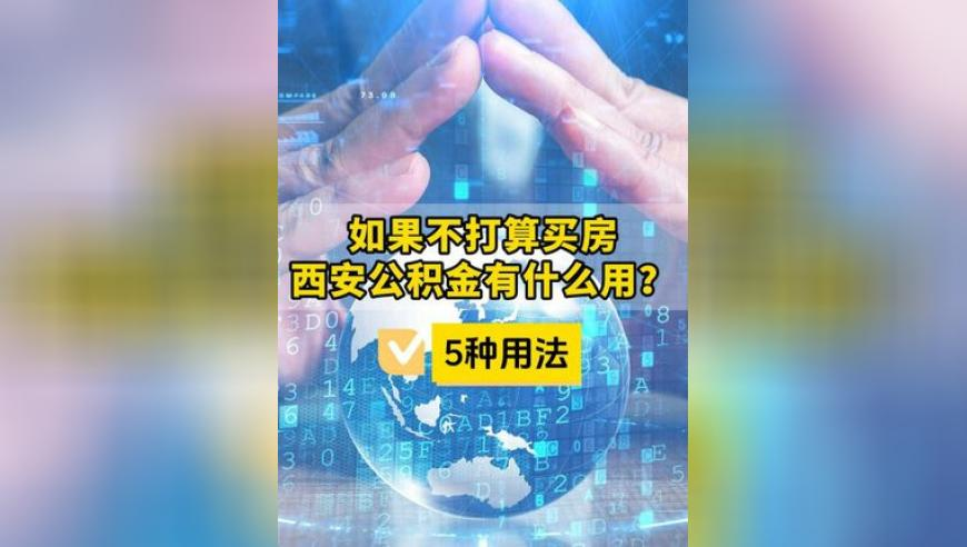 卖炒饭净赚50万的创富故事看看就好,2025年澳门正版资料大全2025澳门精准正版资料2025澳门正版资料免费2025澳,广泛的解释落实方法分析_iosV11.27