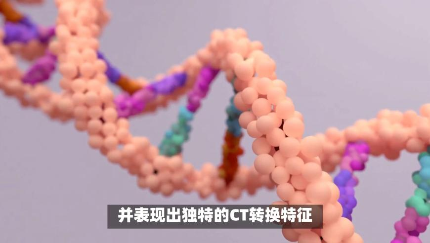 曝独行侠曾询价爱德华兹,澳门今晚开奖记录最新内容,作答解释落实的民间信仰_模拟版V5.25