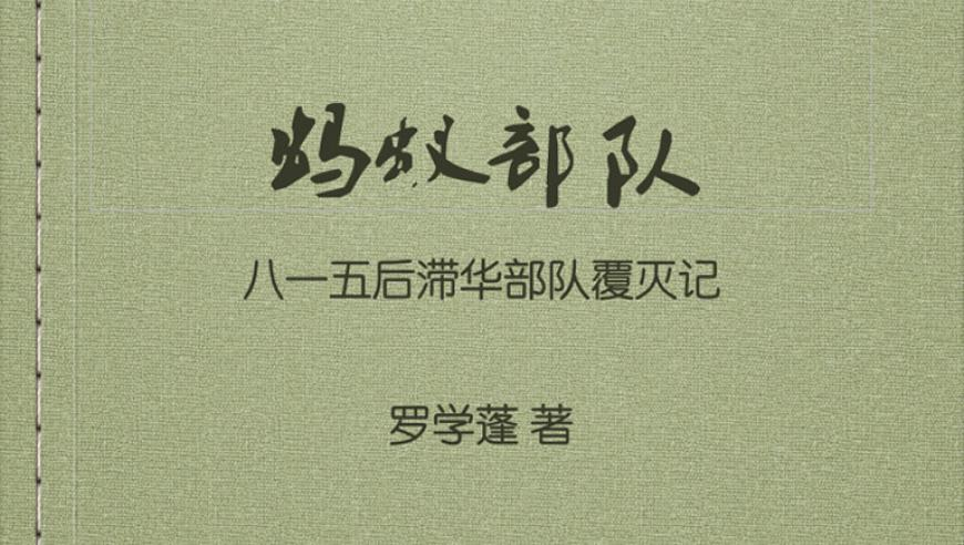 大冰回应该不该结婚生子,2025澳门资料大全免费完整版四不像,决策资料解释落实_权威版V14.42