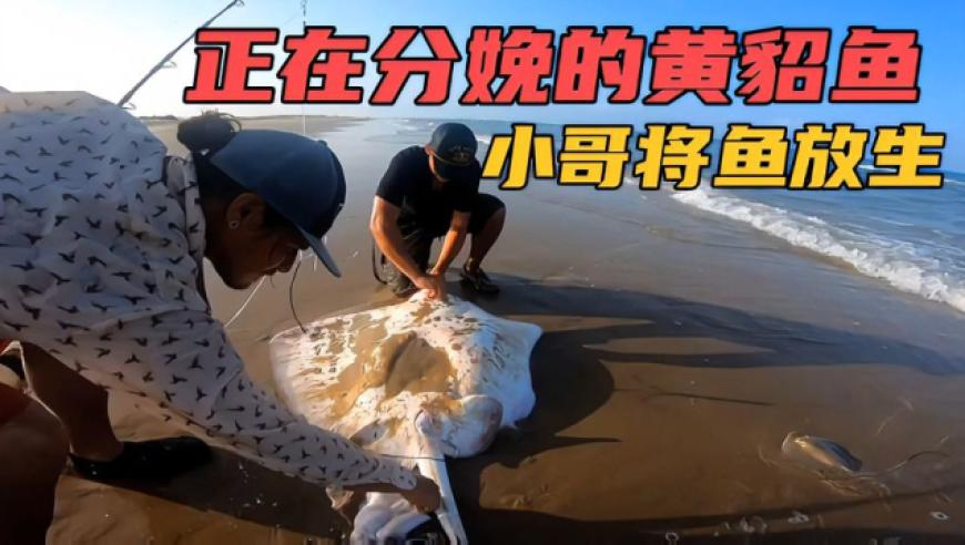 难哄白敬亭大战车兴德花絮,49629澳彩开奖查询图库最新,创造力策略实施推广_测试版V1.7