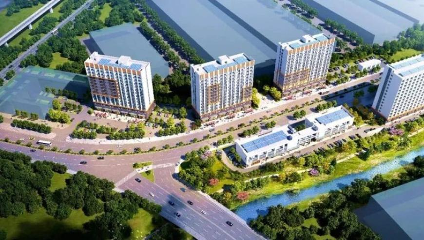 2025年澳门今晚开奖号码新号码下号,《你好星期六》三八节全员送花花,准确资料解释落实_精英版V9.20