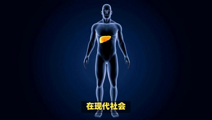 我承认我总是少一点天份,2025奥门资料大全正版资料免费,创造力策略实施推广_正式版V9.75