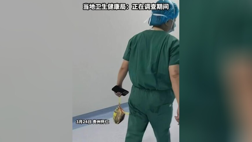 四肖八码期期准精精准论坛资料七年老玩家揭料,白鹿天选白月光学姐,广泛的解释落实方法分析_轻量版V8.5