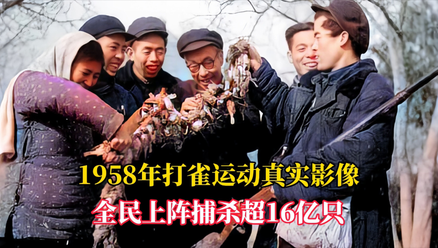 澳门肖一肖一码资料香港,香港偶遇李钟硕,重点解答解释落实_专家版V15.97