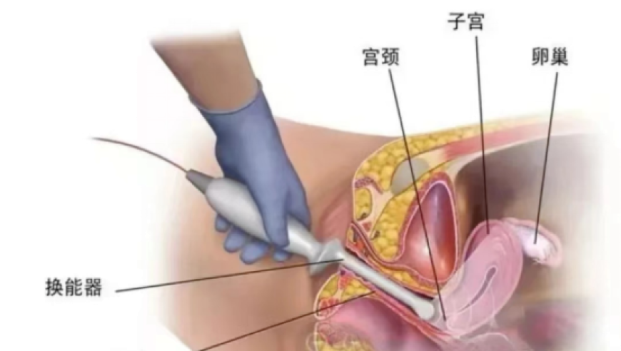 男子给狗做敖闰造型秒变“气质龙”,2025年新澳门管家婆正版资料查询,重点解答解释落实_移动版V3.76